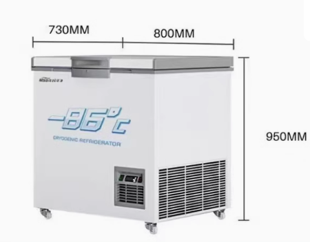 Dry Ice Storage Ultra-low Temperature Cabinet(Plug-in Type)